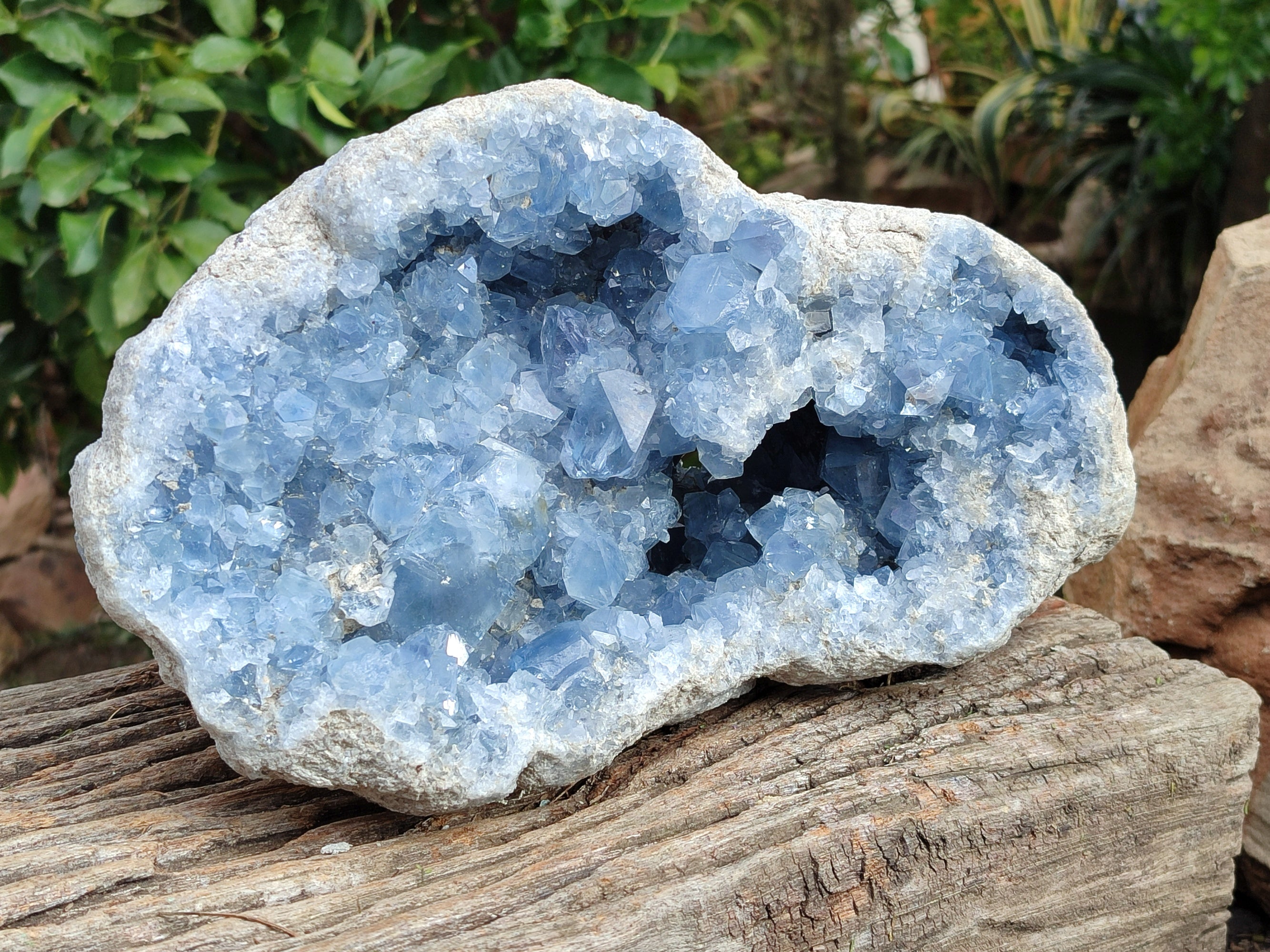 Natural Large Celestite Geode Specimen x 1 From Sakoany, Madagascar - Toprock Gemstones and Minerals 