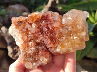 Natural Smokey Amethyst Cactus Flower Spirit Quartz Clusters x 3 From South Africa - Toprock Gemstones and Minerals 