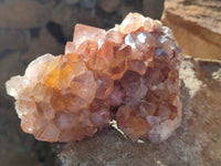 Natural Smokey Amethyst Cactus Flower Spirit Quartz Clusters x 3 From South Africa - Toprock Gemstones and Minerals 