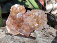 Natural Smokey Amethyst Cactus Flower Spirit Quartz Clusters x 3 From South Africa - Toprock Gemstones and Minerals 