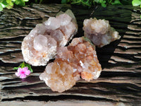 Natural Smokey Amethyst Cactus Flower Spirit Quartz Clusters x 3 From South Africa - Toprock Gemstones and Minerals 