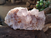 Natural Smokey Amethyst Cactus Flower Spirit Quartz Clusters x 3 From South Africa - Toprock Gemstones and Minerals 