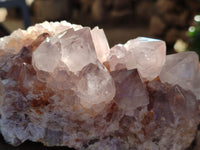 Natural Smokey Amethyst Cactus Flower Spirit Quartz Clusters x 3 From South Africa - Toprock Gemstones and Minerals 