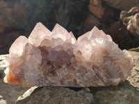 Natural Smokey Amethyst Cactus Flower Spirit Quartz Clusters x 3 From South Africa - Toprock Gemstones and Minerals 