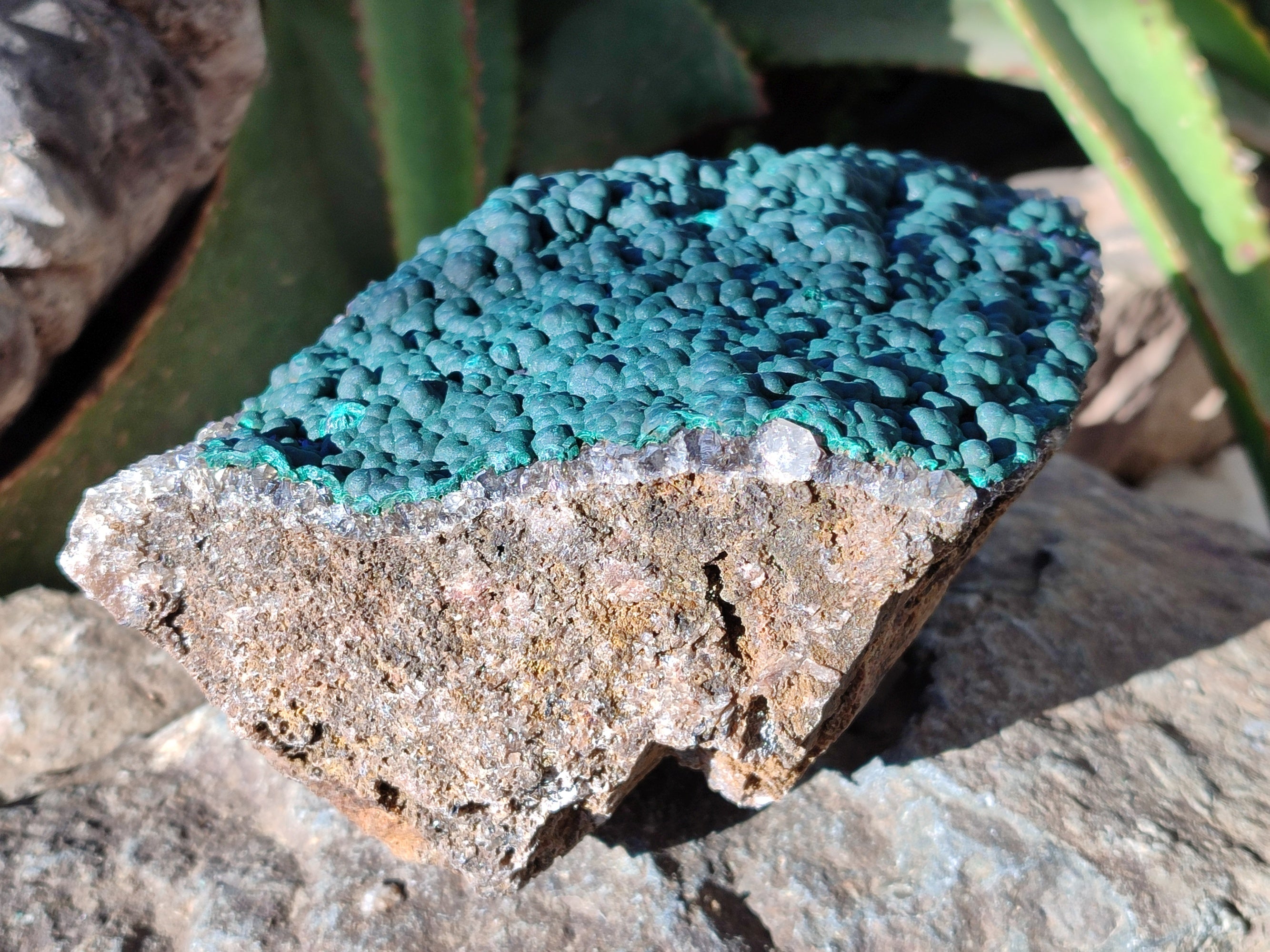 Natural Botryoidal Ball Malachite on Dolomite Matrix Specimen x 1 From Kambove, Congo - Toprock Gemstones and Minerals 