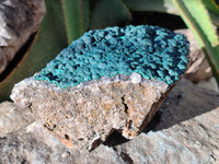 Natural Botryoidal Ball Malachite on Dolomite Matrix Specimen x 1 From Kambove, Congo