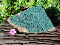 Natural Botryoidal Ball Malachite on Dolomite Matrix Specimen x 1 From Kambove, Congo
