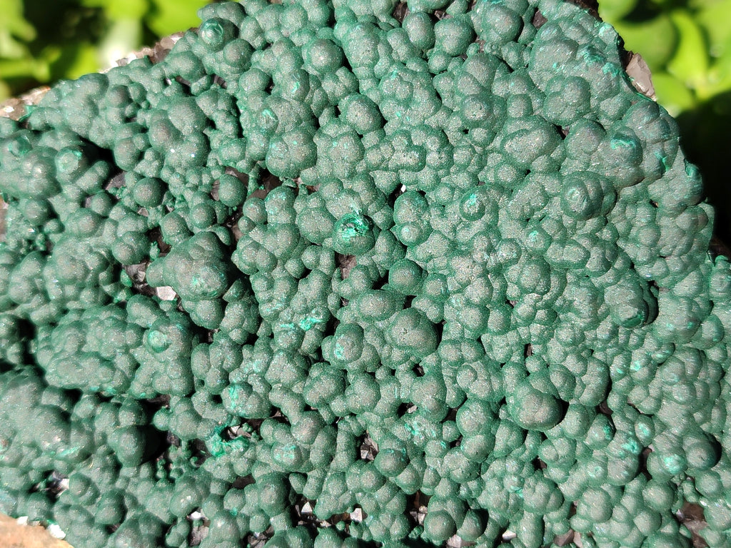 Natural Botryoidal Ball Malachite on Dolomite Matrix Specimen x 1 From Kambove, Congo - Toprock Gemstones and Minerals 