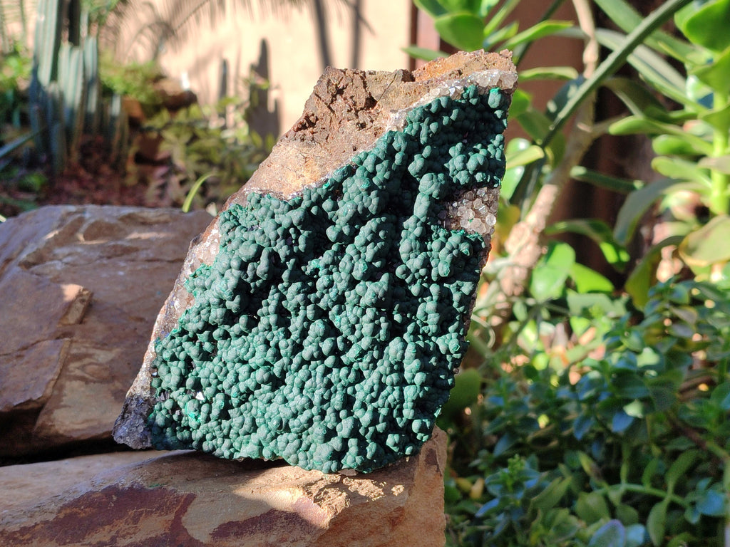 Natural Botryoidal Ball Malachite on Dolomite Matrix Specimen x 1 From Kambove, Congo - Toprock Gemstones and Minerals 