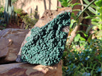 Natural Botryoidal Ball Malachite on Dolomite Matrix Specimen x 1 From Kambove, Congo - Toprock Gemstones and Minerals 