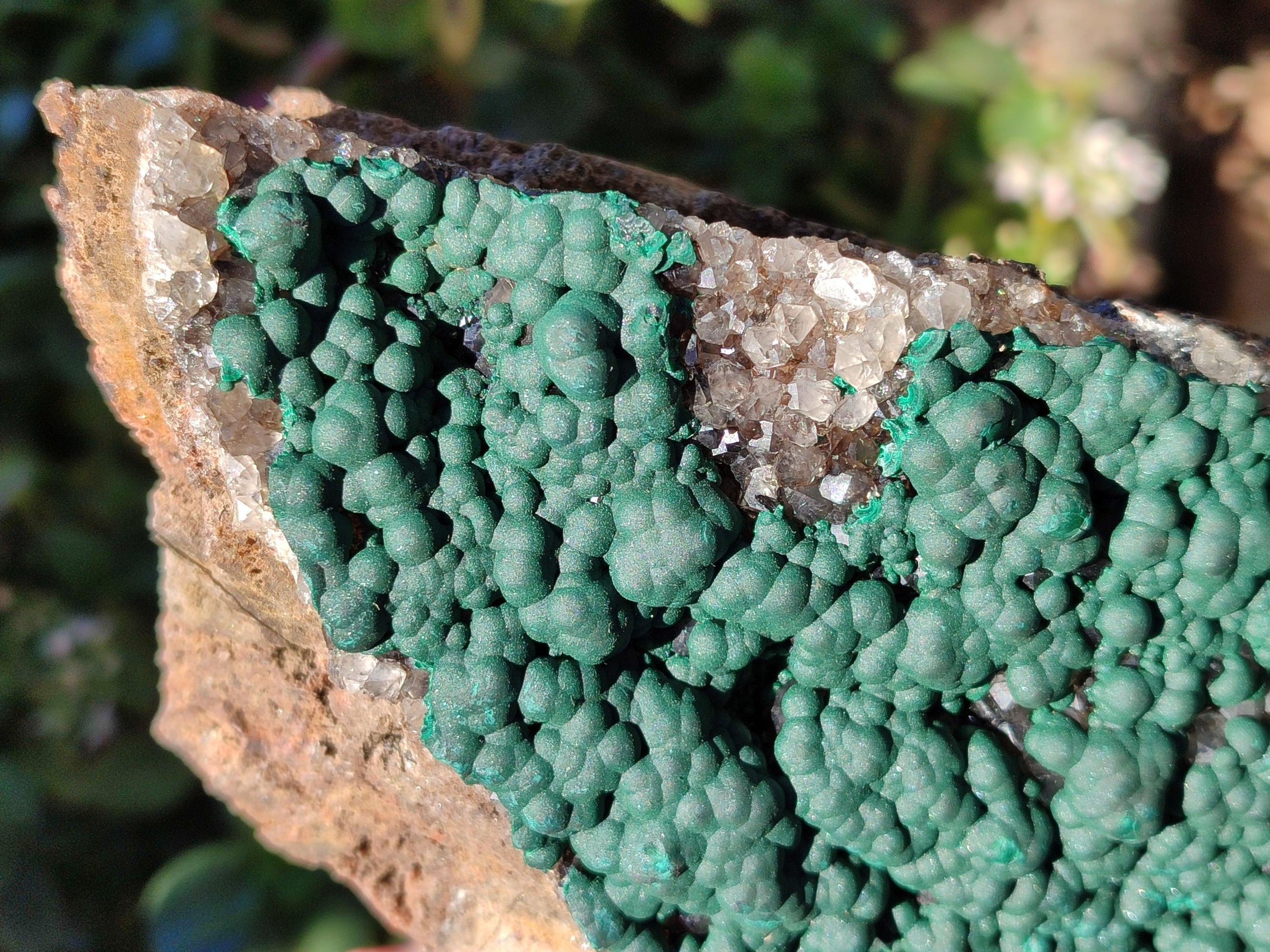 Natural Botryoidal Ball Malachite on Dolomite Matrix Specimen x 1 From Kambove, Congo - Toprock Gemstones and Minerals 