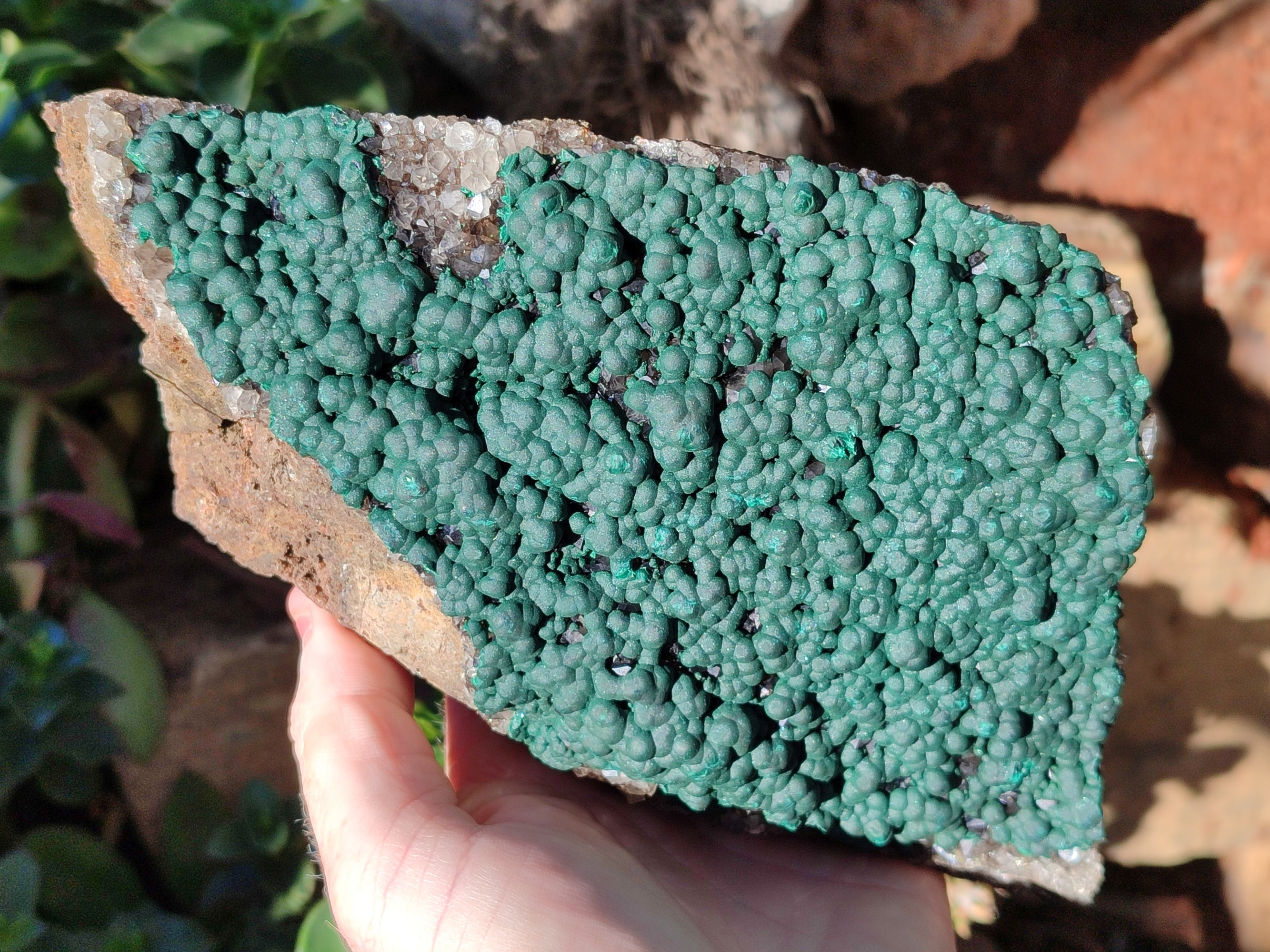 Natural Botryoidal Ball Malachite on Dolomite Matrix Specimen x 1 From Kambove, Congo - Toprock Gemstones and Minerals 