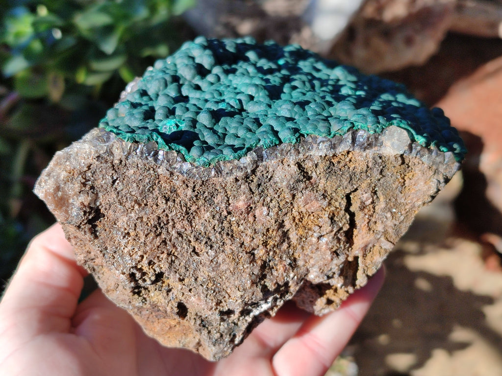 Natural Botryoidal Ball Malachite on Dolomite Matrix Specimen x 1 From Kambove, Congo - Toprock Gemstones and Minerals 