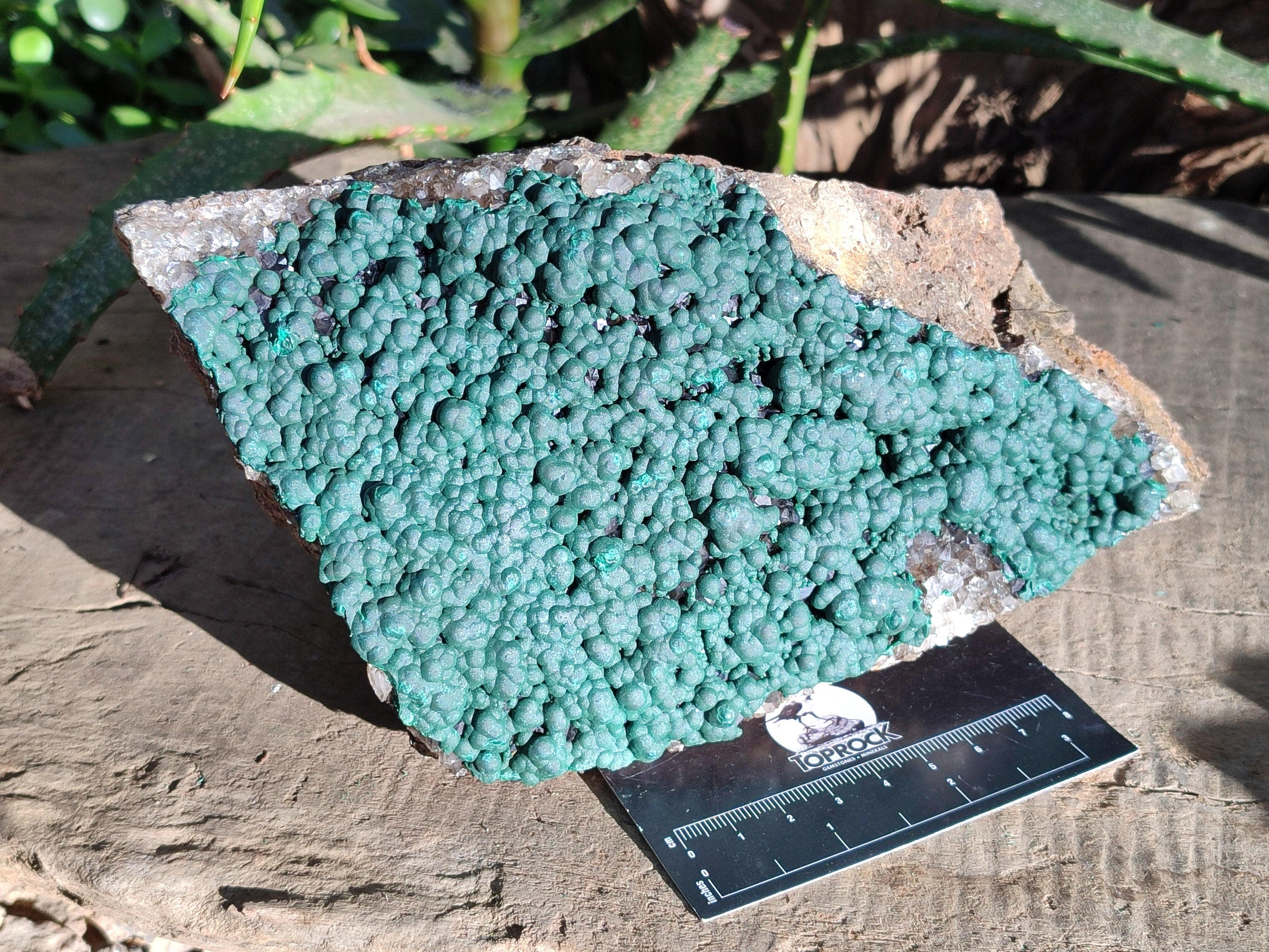 Natural Botryoidal Ball Malachite on Dolomite Matrix Specimen x 1 From Kambove, Congo - Toprock Gemstones and Minerals 