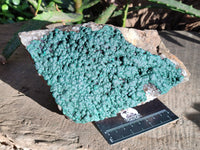 Natural Botryoidal Ball Malachite on Dolomite Matrix Specimen x 1 From Kambove, Congo