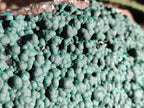 Natural Botryoidal Ball Malachite on Dolomite Matrix Specimen x 1 From Kambove, Congo - Toprock Gemstones and Minerals 