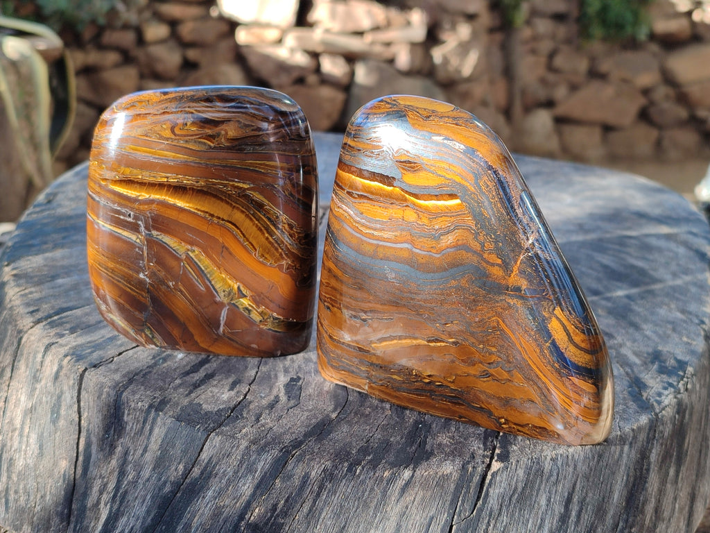 Polished Golden River Tigers Eye Standing Free Forms x 2 From Prieska, South Africa - Toprock Gemstones and Minerals 
