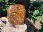 Polished Golden River Tigers Eye Standing Free Forms x 2 From Prieska, South Africa - Toprock Gemstones and Minerals 