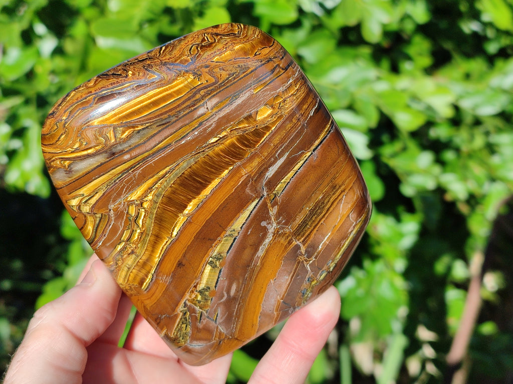Polished Golden River Tigers Eye Standing Free Forms x 2 From Prieska, South Africa - Toprock Gemstones and Minerals 