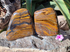 Polished Golden River Tigers Eye Standing Free Forms x 2 From Prieska, South Africa - Toprock Gemstones and Minerals 