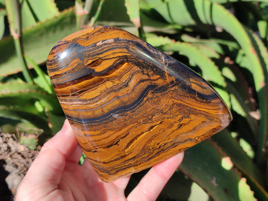 Polished Golden River Tigers Eye Standing Free Forms x 2 From Prieska, South Africa - Toprock Gemstones and Minerals 