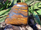 Polished Golden River Tigers Eye Standing Free Forms x 2 From Prieska, South Africa - Toprock Gemstones and Minerals 