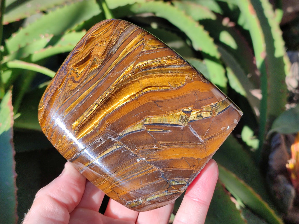 Polished Golden River Tigers Eye Standing Free Forms x 2 From Prieska, South Africa - Toprock Gemstones and Minerals 