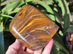 Polished Golden River Tigers Eye Standing Free Forms x 2 From Prieska, South Africa - Toprock Gemstones and Minerals 