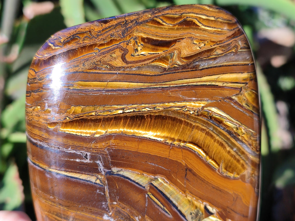 Polished Golden River Tigers Eye Standing Free Forms x 2 From Prieska, South Africa - Toprock Gemstones and Minerals 