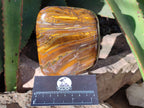 Polished Golden River Tigers Eye Standing Free Forms x 2 From Prieska, South Africa - Toprock Gemstones and Minerals 