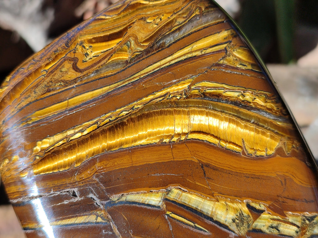 Polished Golden River Tigers Eye Standing Free Forms x 2 From Prieska, South Africa - Toprock Gemstones and Minerals 