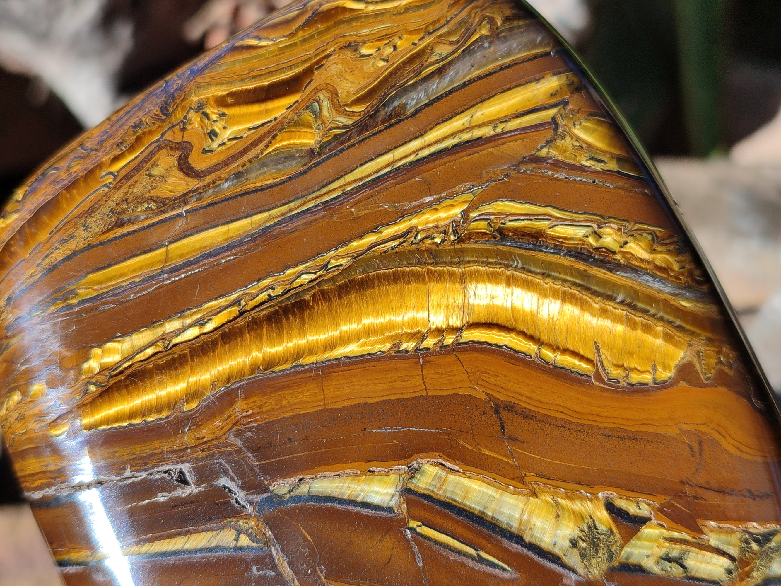 Polished Golden River Tigers Eye Standing Free Forms x 2 From Prieska, South Africa - Toprock Gemstones and Minerals 