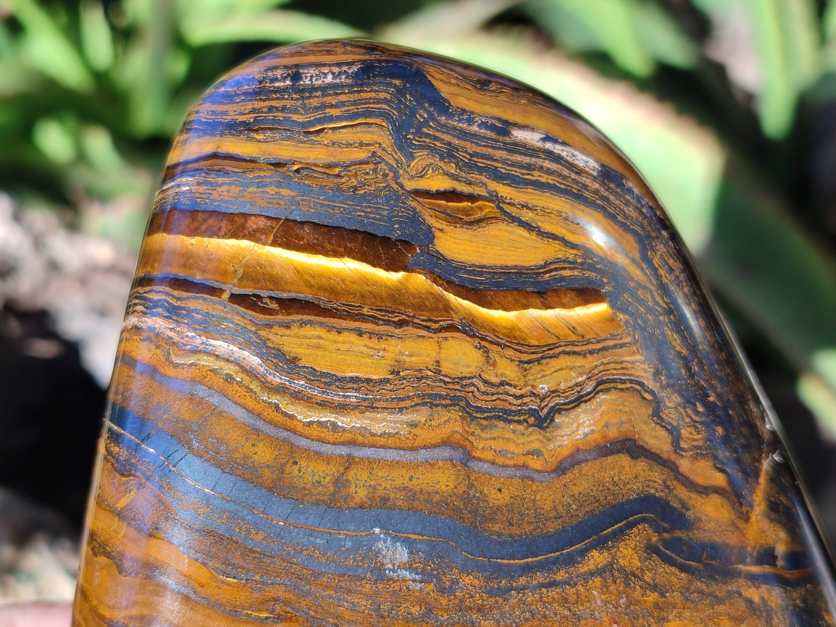 Polished Golden River Tigers Eye Standing Free Forms x 2 From Prieska, South Africa - Toprock Gemstones and Minerals 