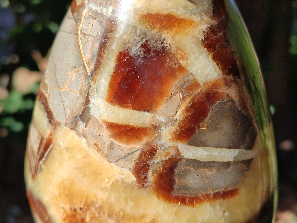 Polished Fossilized Septerye Standing Free Forms x 2 From Mahajanga, Madagascar - Toprock Gemstones and Minerals 