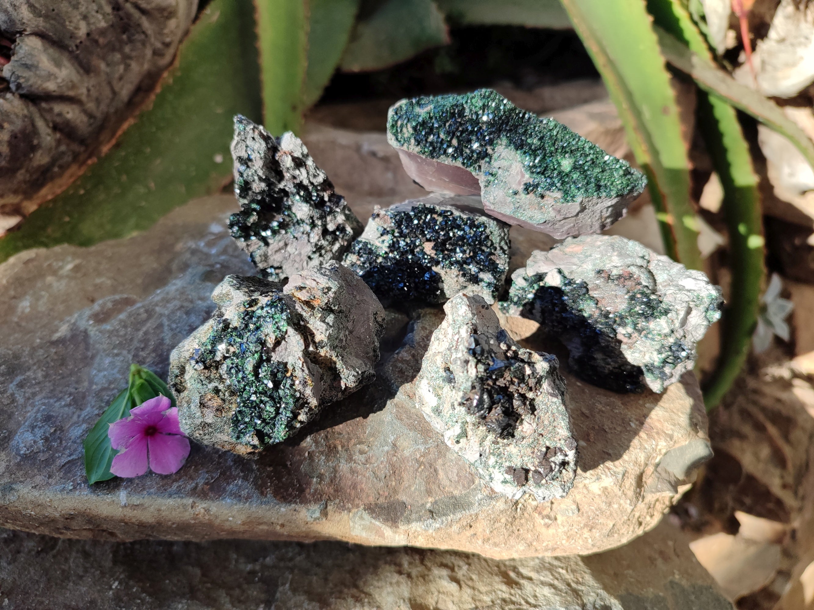 Natural Libethenite Crystals On Dolomite Matrix Specimens x 6 From Shituru, Congo - Toprock Gemstones and Minerals 
