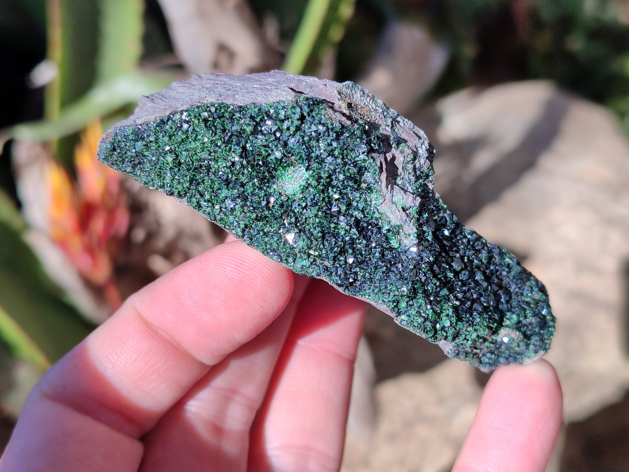 Natural Libethenite Crystals On Dolomite Matrix Specimens x 6 From Shituru, Congo - Toprock Gemstones and Minerals 