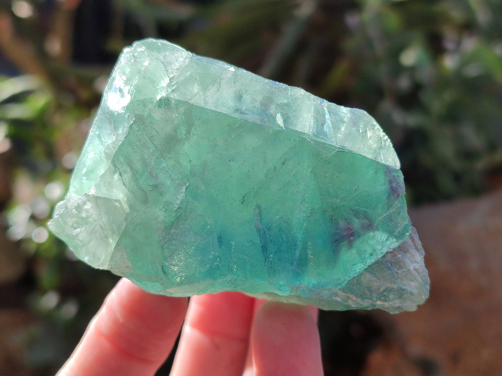 Natural Fluorescent Watermelon Fluorite Cobbed Specimens x 12 From Uis, Namibia - Toprock Gemstones and Minerals 