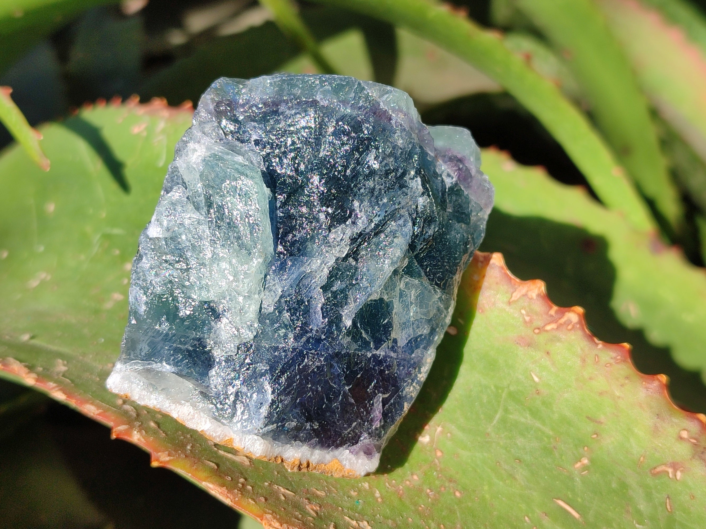 Natural Fluorescent Watermelon Fluorite Cobbed Specimens x 12 From Uis, Namibia - Toprock Gemstones and Minerals 