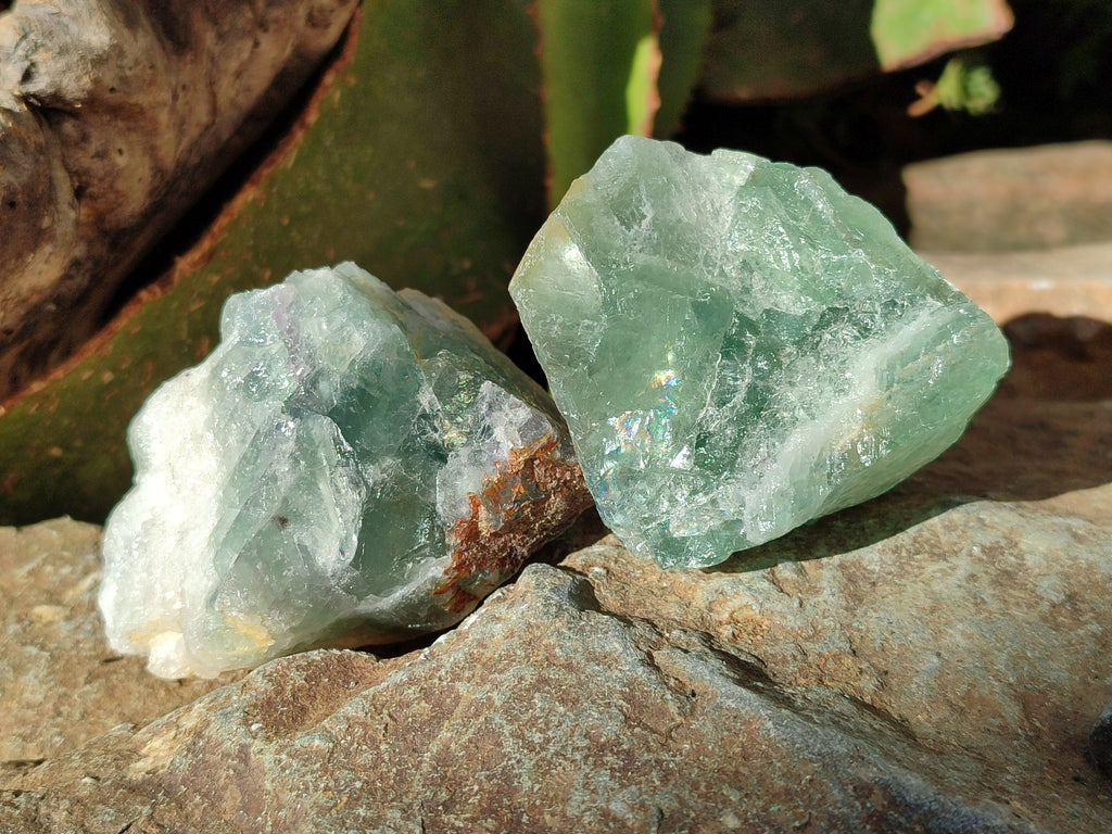 Natural Fluorescent Watermelon Fluorite Cobbed Specimens x 12 From Uis, Namibia - Toprock Gemstones and Minerals 