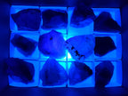 Natural Fluorescent Watermelon Fluorite Cobbed Specimens x 12 From Uis, Namibia - Toprock Gemstones and Minerals 