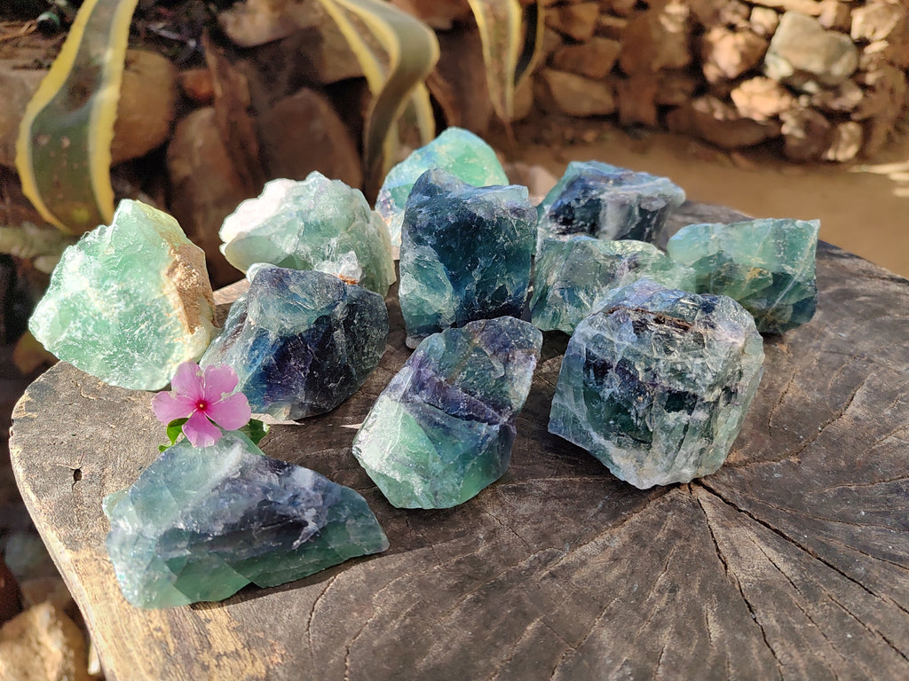 Natural Fluorescent Watermelon Fluorite Cobbed Specimens x 12 From Uis, Namibia - Toprock Gemstones and Minerals 