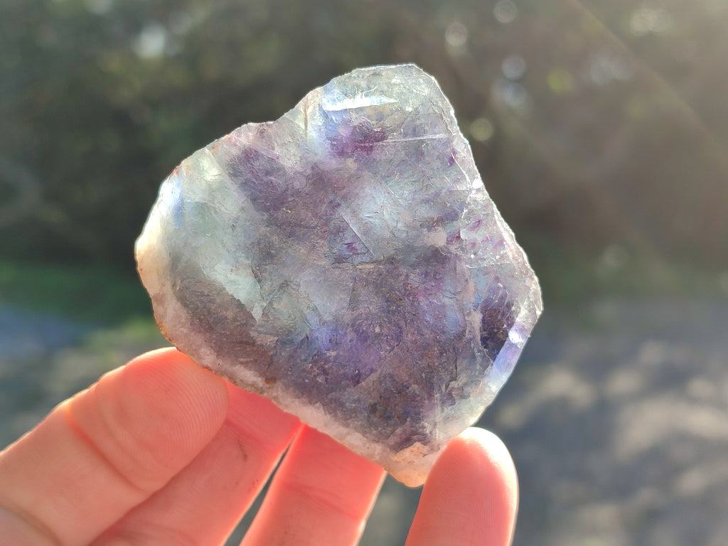 Natural Fluorescent Watermelon Fluorite Cobbed Specimens x 12 From Uis, Namibia - Toprock Gemstones and Minerals 