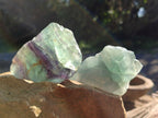 Natural Fluorescent Watermelon Fluorite Cobbed Specimens x 12 From Uis, Namibia - Toprock Gemstones and Minerals 