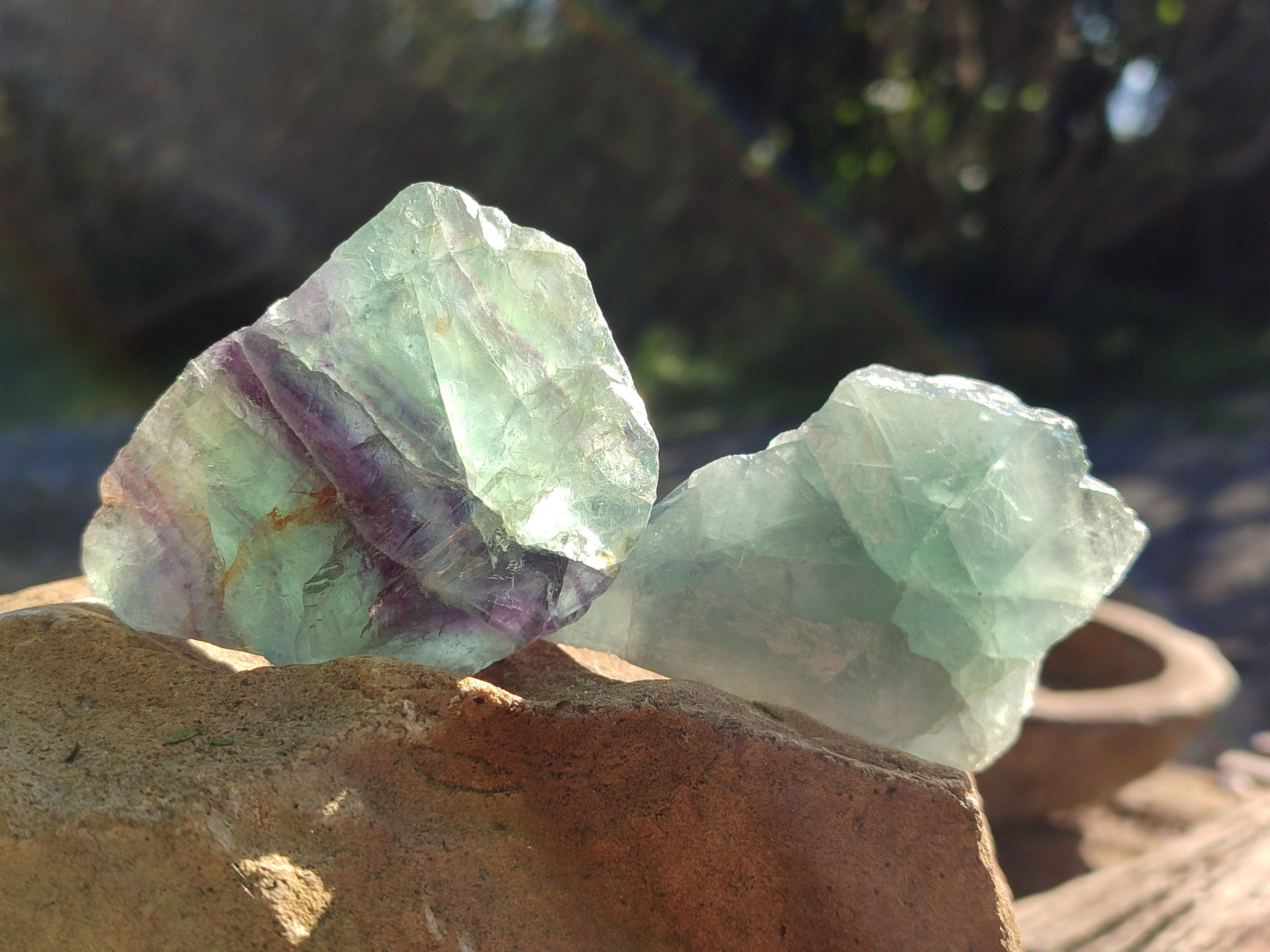 Natural Fluorescent Watermelon Fluorite Cobbed Specimens x 12 From Uis, Namibia - Toprock Gemstones and Minerals 