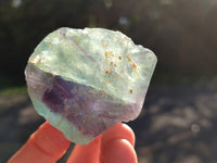 Natural Fluorescent Watermelon Fluorite Cobbed Specimens x 12 From Uis, Namibia - Toprock Gemstones and Minerals 