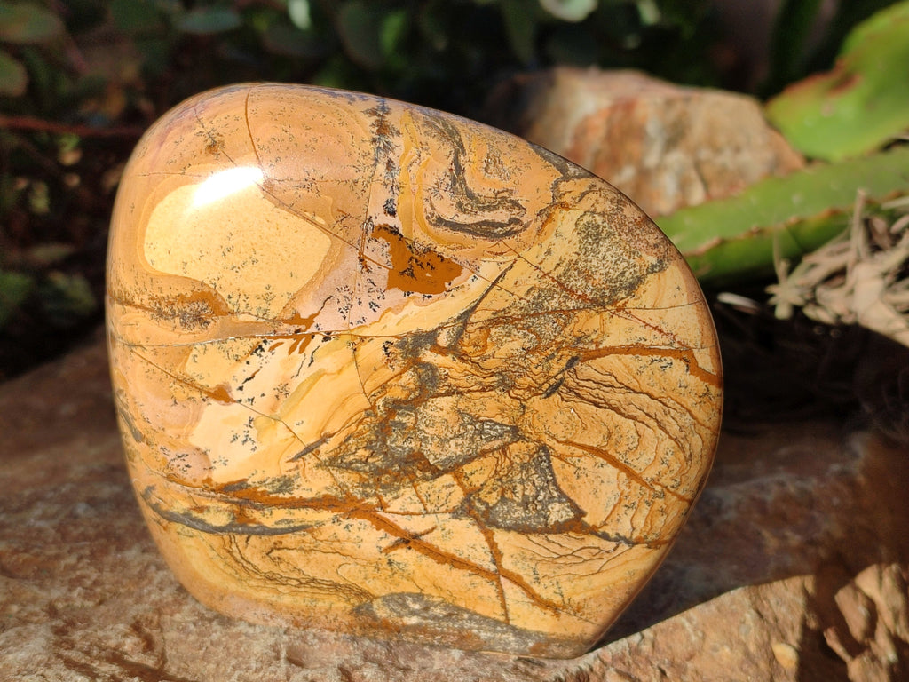 Polished Picture Stone Jasper Standing Free Forms x 2 From Ais-Ais, Namibia - Toprock Gemstones and Minerals 