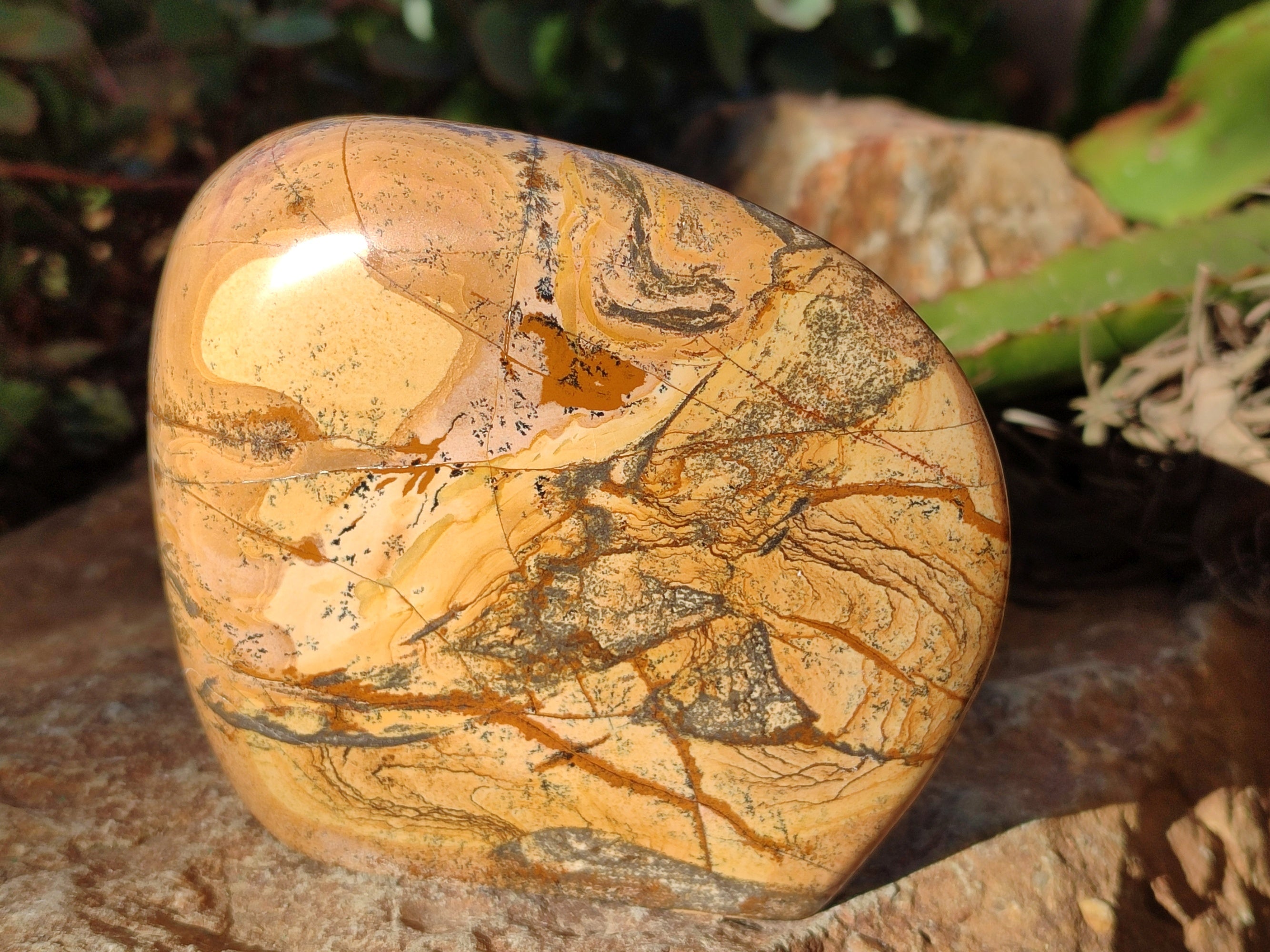 Polished Picture Stone Jasper Standing Free Forms x 2 From Ais-Ais, Namibia - Toprock Gemstones and Minerals 