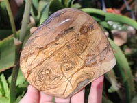 Polished Picture Stone Jasper Standing Free Forms x 2 From Ais-Ais, Namibia - Toprock Gemstones and Minerals 
