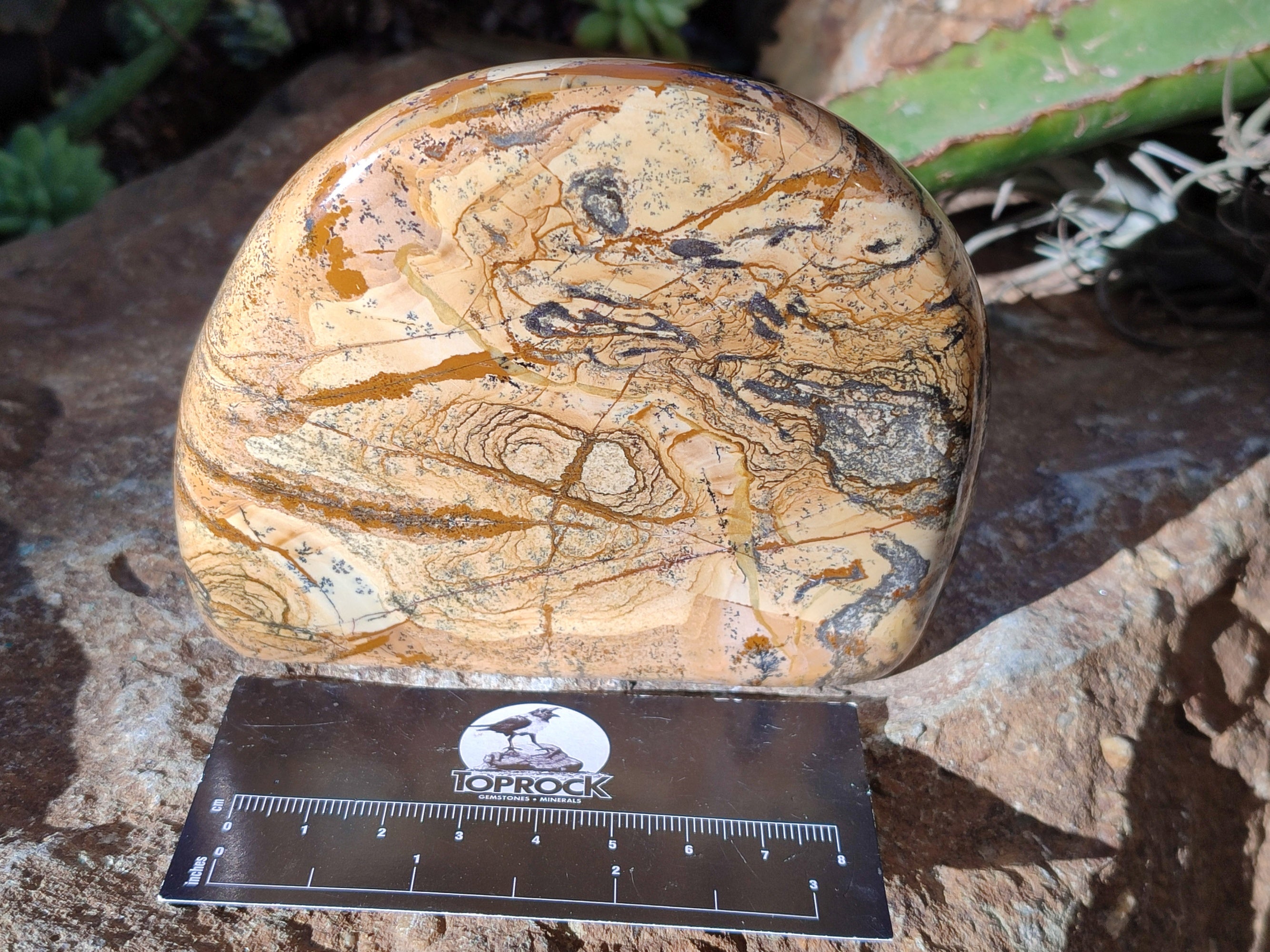 Polished Picture Stone Jasper Standing Free Forms x 2 From Ais-Ais, Namibia - Toprock Gemstones and Minerals 