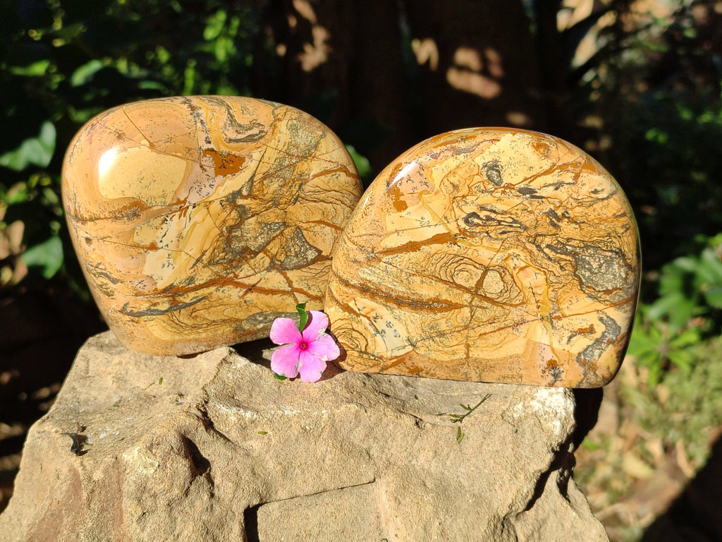 Polished Picture Stone Jasper Standing Free Forms x 2 From Ais-Ais, Namibia - Toprock Gemstones and Minerals 